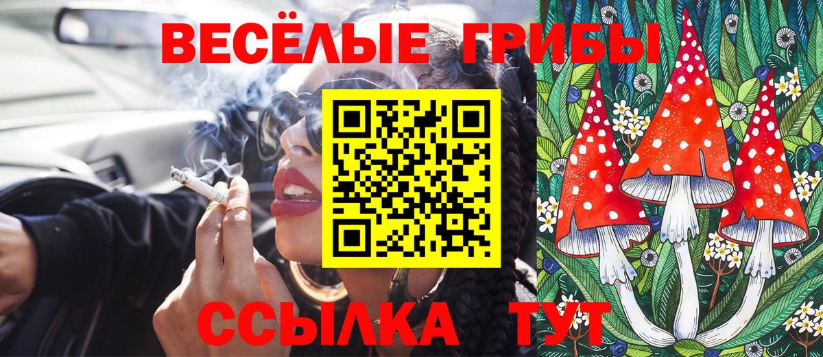 Выкса  дарнет шоп  Вход с VPN  Псилоцибиновые грибы мицелий 